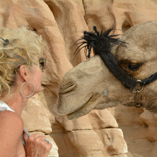 DesertJoy deelnemer en haar kameel