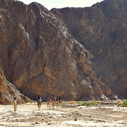 graniet-bergwoestijn Sinai DesertJoy