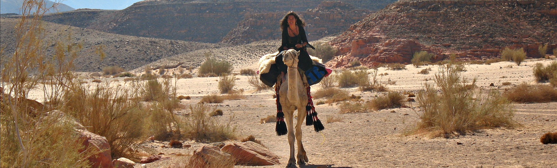 Dalel Lejibi