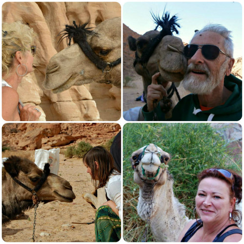 DesertJoy deelnemers en hun kameel