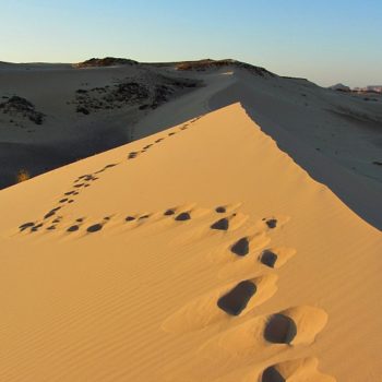 zandwoestijn Sinaï DesertJoy