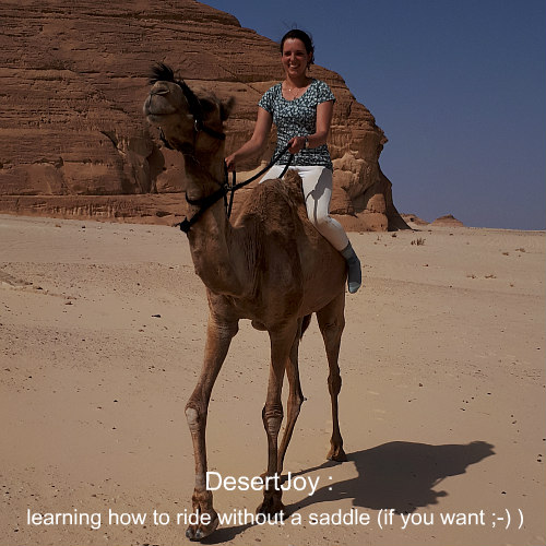 learning how to ride without a saddle desertjoy