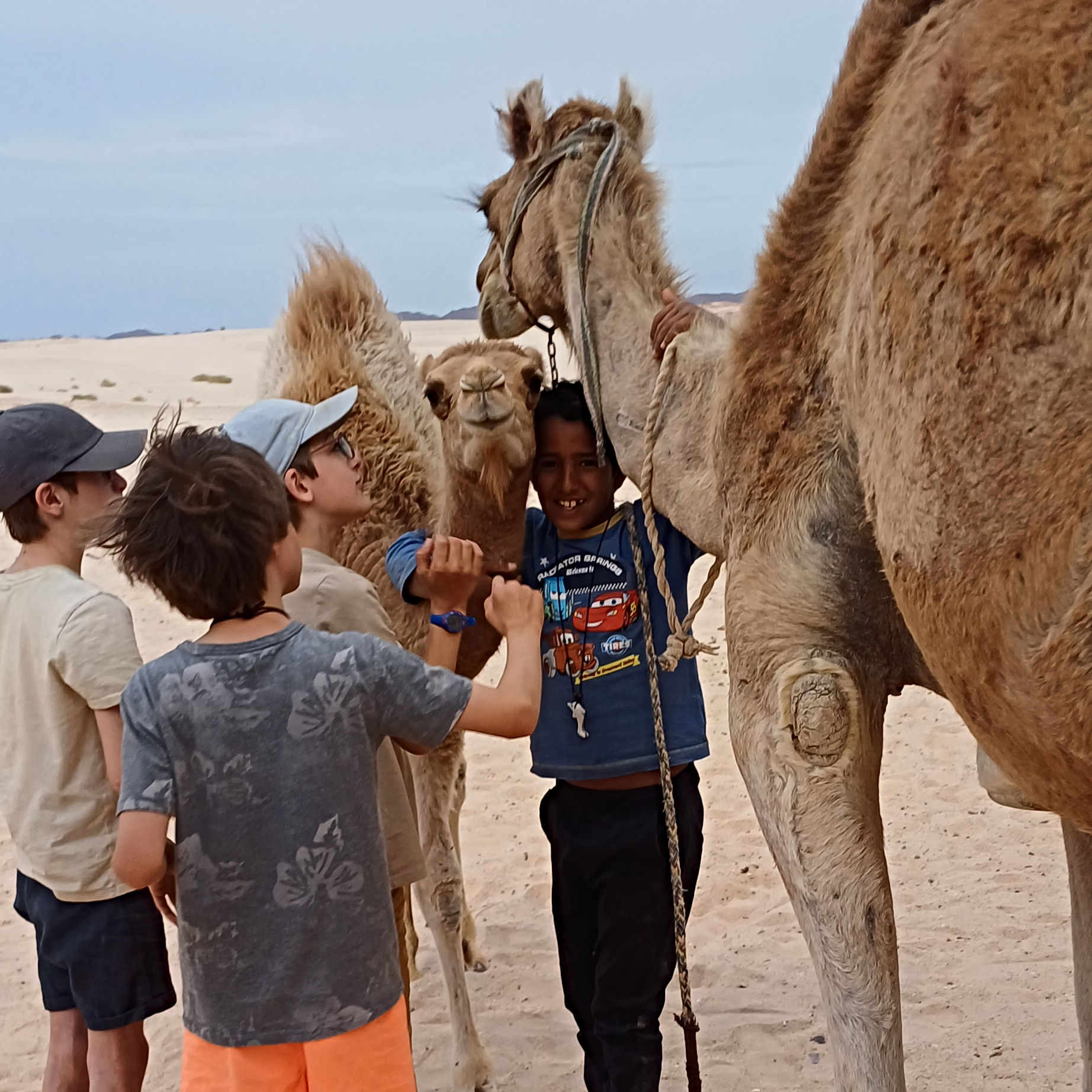 20250430 184814 Gastenboek DesertJoy