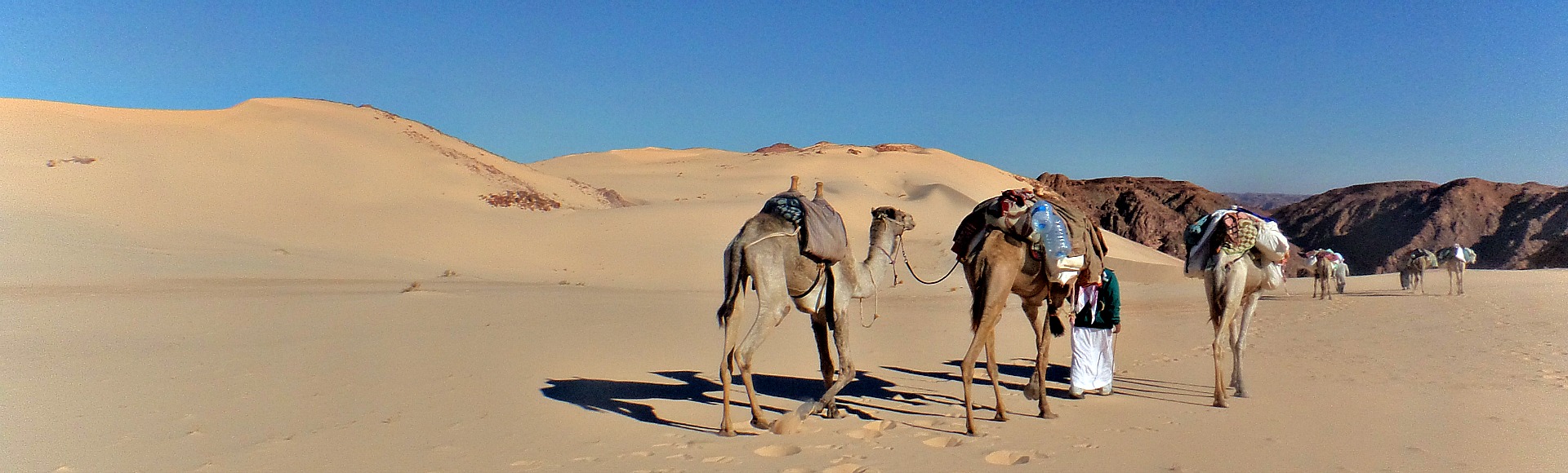 Sinai Woestijn DesertJoy