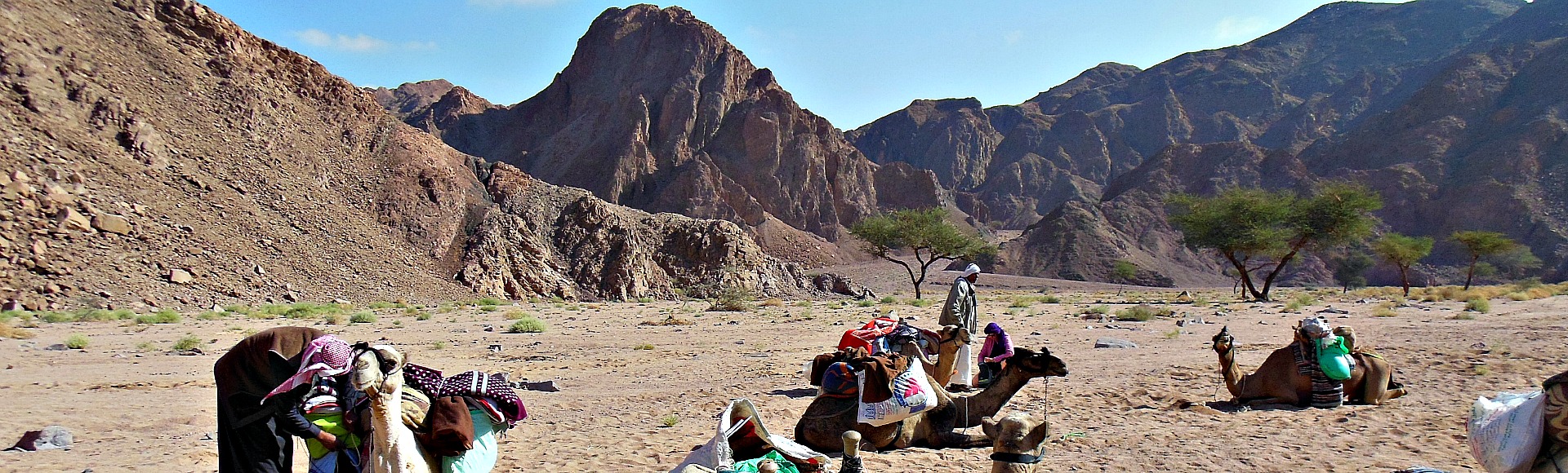 DesertJoy nomadisch reizen
