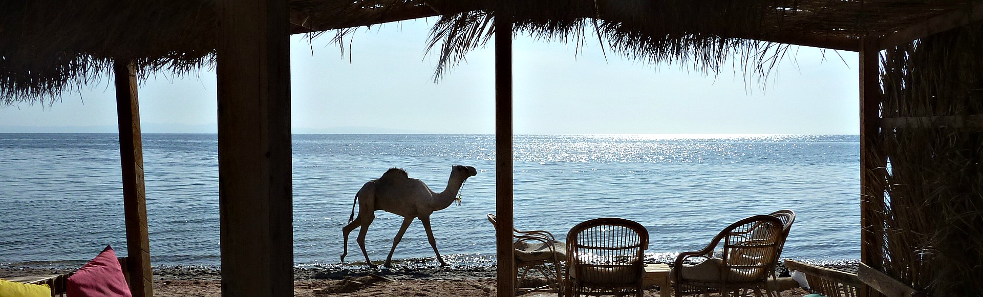 DesertJoy nomadisch reizen met hart en ziel