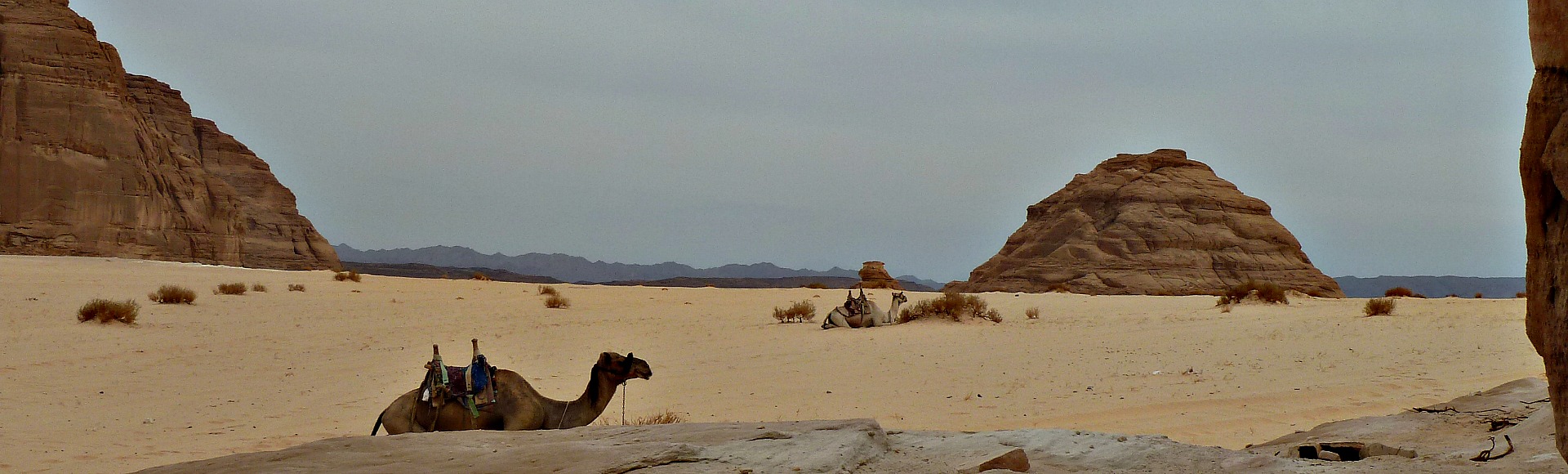 sinaï woestijn desertjoy