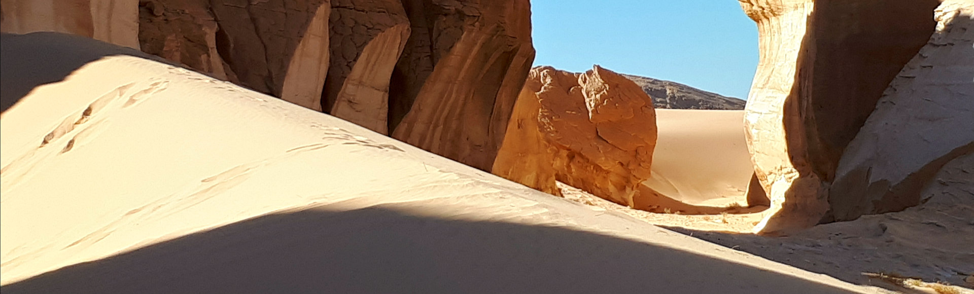Sinaiwoestijn DesertJoy