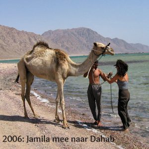 jamila mee naar dahab