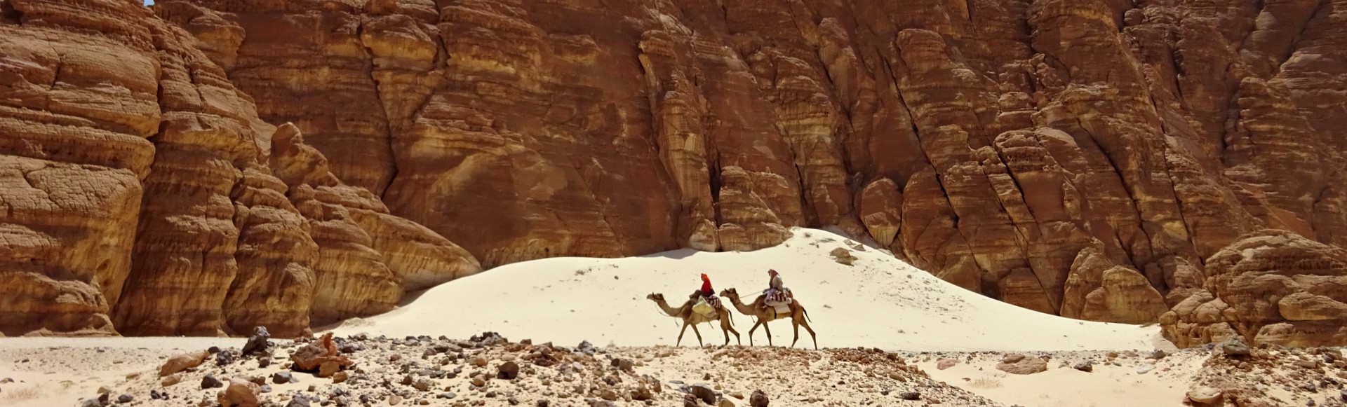 7-dgse Woestijn-Kamelentocht
