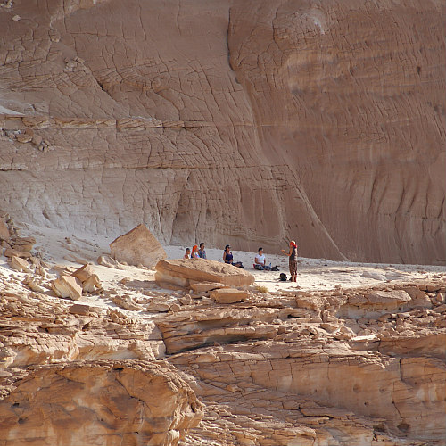 yogareis DesertJoy