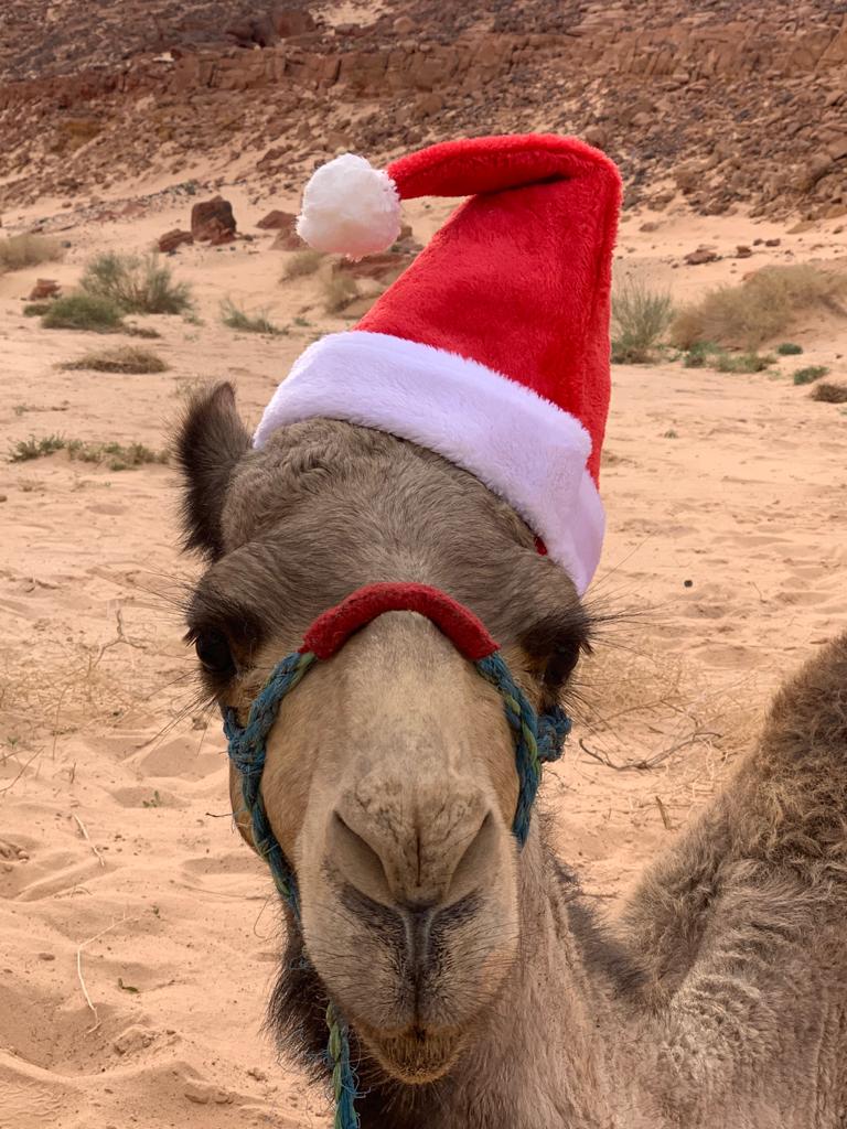 kerst en oud-en-nieuw in de Woestijn DesertJoy