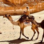 Op de kameel in de woestijn