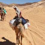 Reizen in de woestijn - DesertJoy