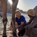 img 20241101 wa0030 klaar Gastenboek DesertJoy