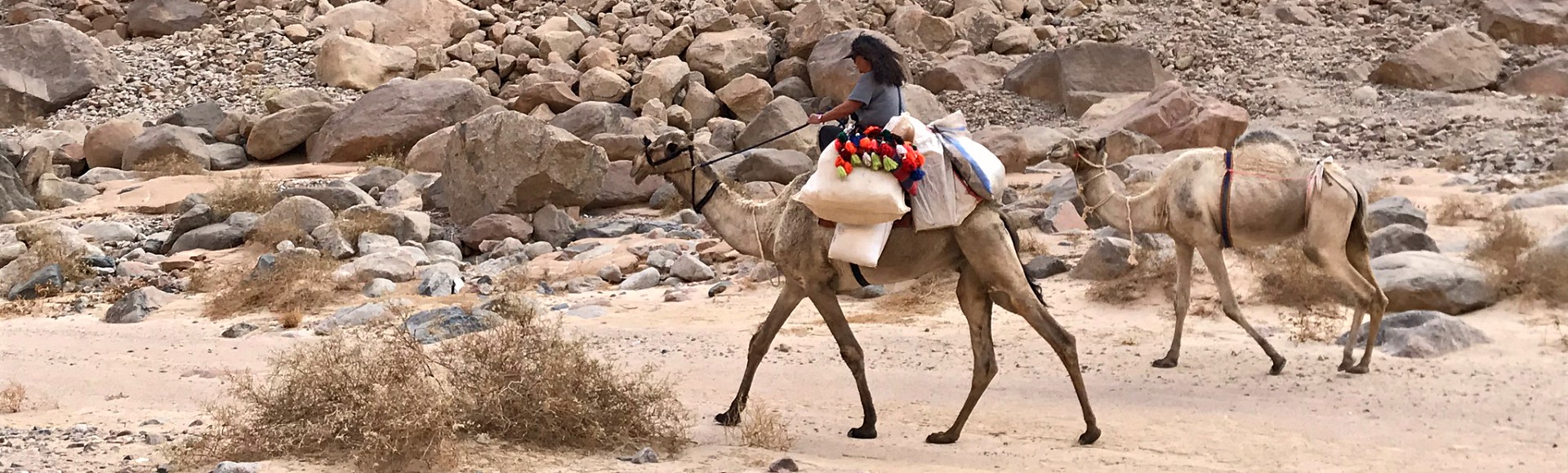 Joyce Schröder,DesertJoy
