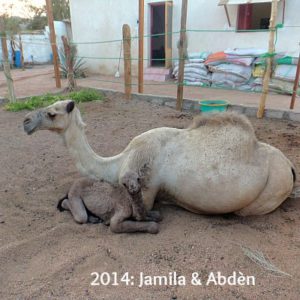 Jamila en Abden