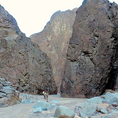 granietwoestijn Sinai DesertJoy