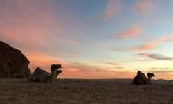 Ervaar de zonsondergang in de woestijn bij DesertJoy