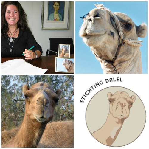 Adoptieprogramma Stichting Dalel