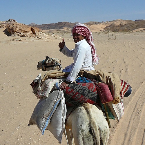 woestijn-kamelentocht DesertJoy