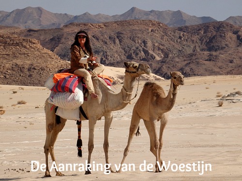 reishonger-de-aanraking-van-de-woestijn