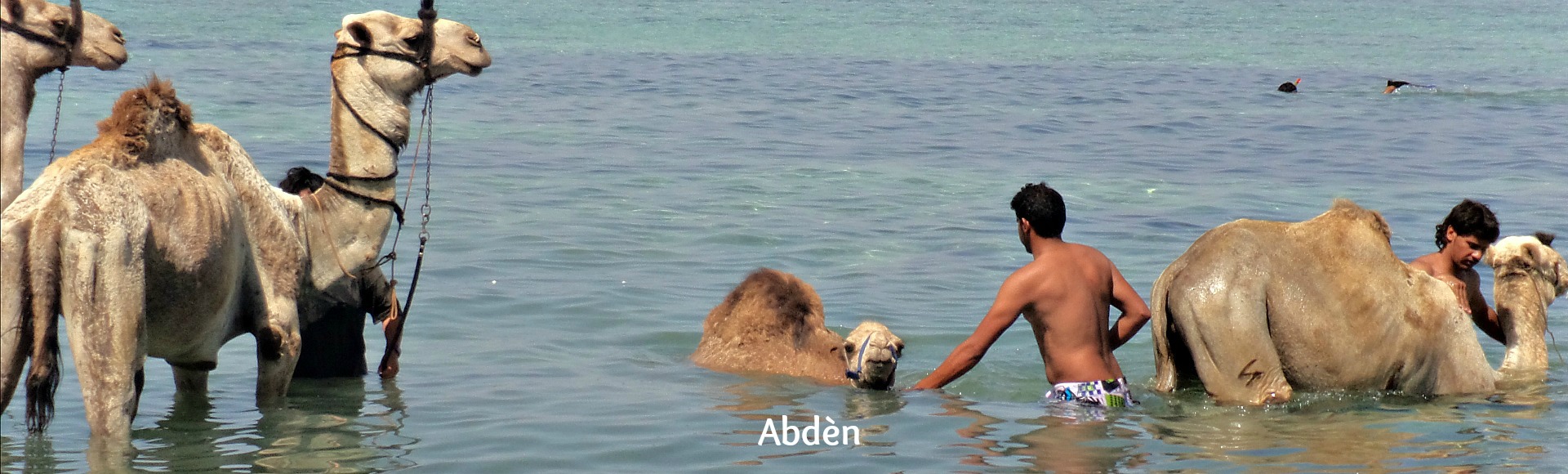 Abden in de zee