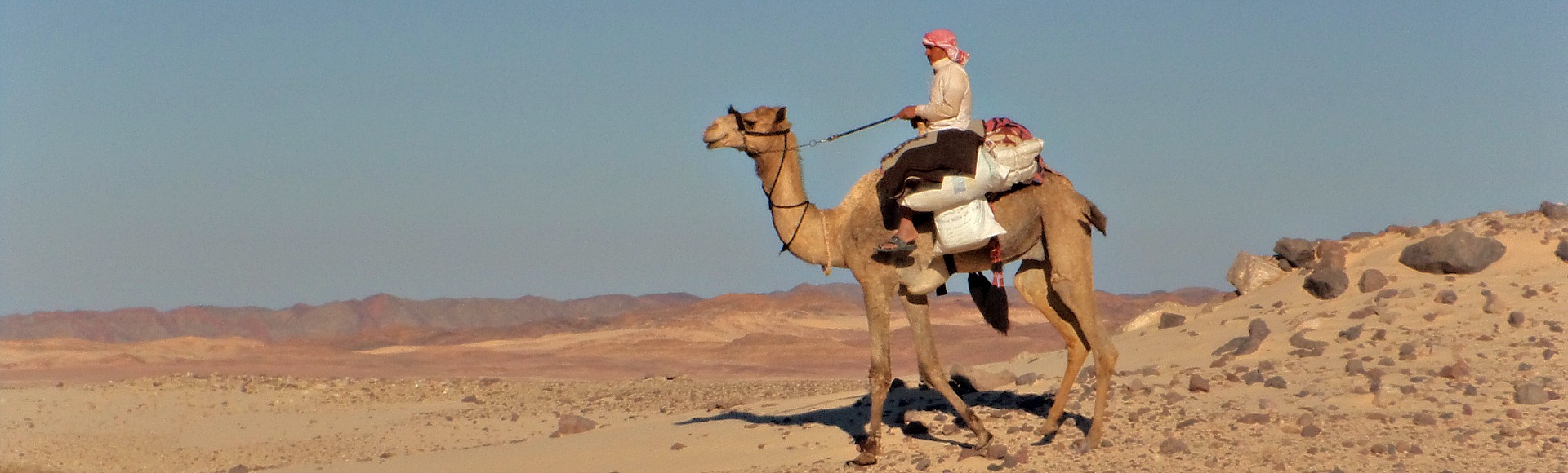 ahmed en bilhen
